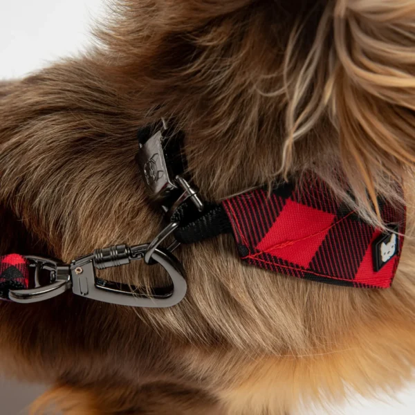 Poplin Bandana Dog Collar - Red Plaid - Image 3