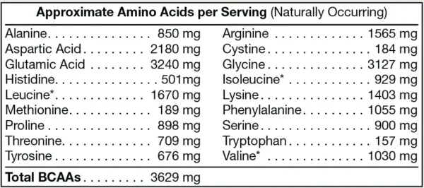 Pure Plant Protein - Chocolate - Image 5