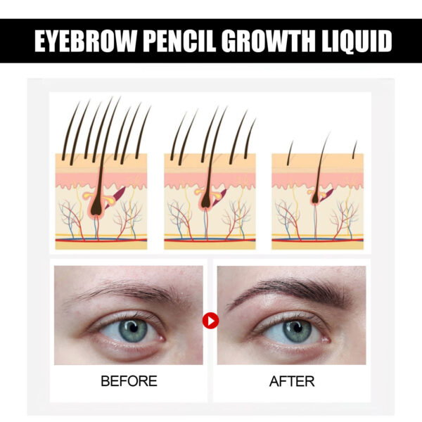 EELHOE Eyebrow Liquid Dark Thick Natural Oil Eyebrow Repair Mild Moisturizing Treatment - Image 6